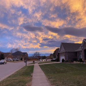 Meet your Posher, Sophia